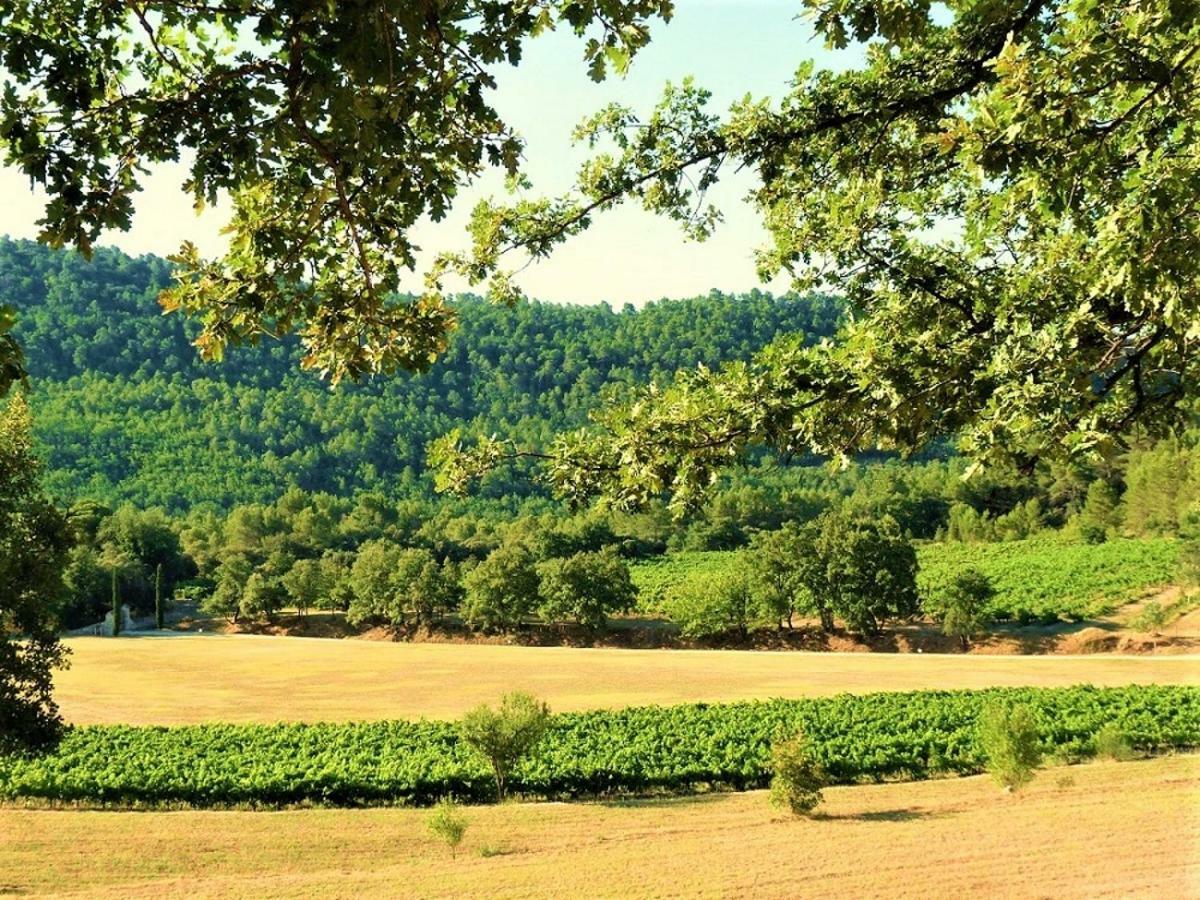Le Mas Serenite Ansouis Bagian luar foto